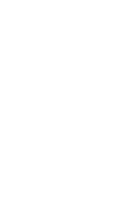 タレ
